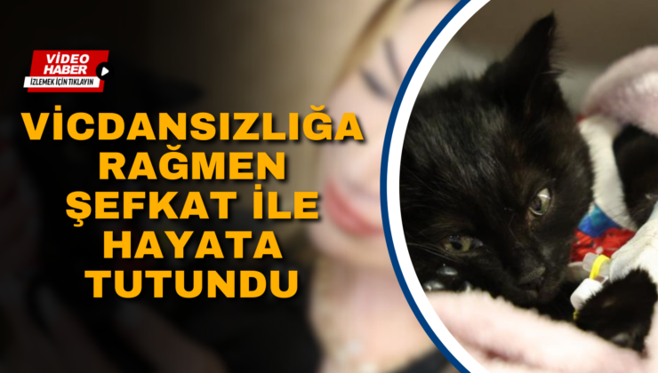 VİCDANSIZLIĞA RAĞMEN ŞEFKAT İLE HAYATA TUTUNDU