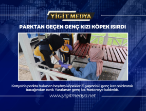 PARKTAN GEÇEN GENÇ KIZI KÖPEK ISIRDI