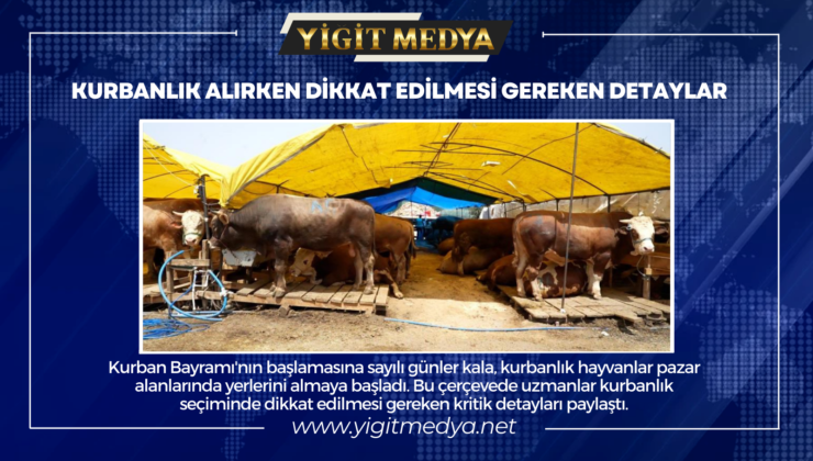 KURBANLIK ALIRKEN DİKKAT EDİLMESİ GEREKEN DETAYLAR