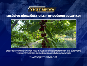 EREĞLİ’DE KİRAZ ÜRETİCİLERİ UMDUĞUNU BULAMADI