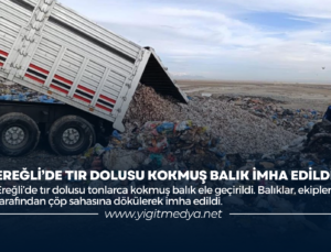 EREĞLİ’DE TIR DOLUSU KOKMUŞ BALIK İMHA EDİLDİ