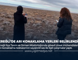 EREĞLİ’DE ARI KONAKLAMA YERLERİ BELİRLENDİ