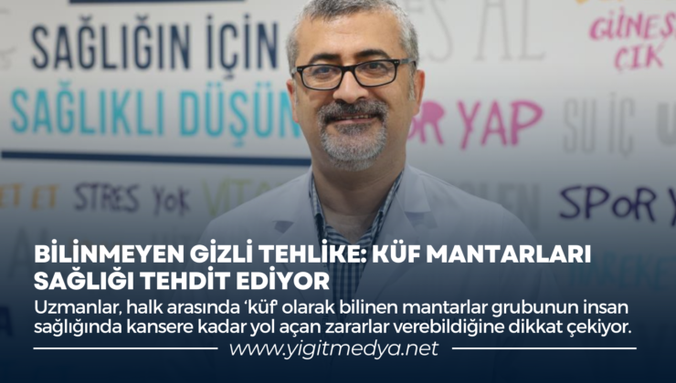 BİLİNMEYEN GİZLİ TEHLİKE: KÜF MANTARLARI SAĞLIĞI TEHDİT EDİYOR