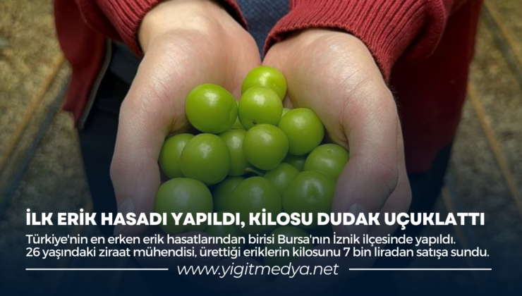 İLK ERİK HASADI YAPILDI, KİLOSU DUDAK UÇAKLATTI