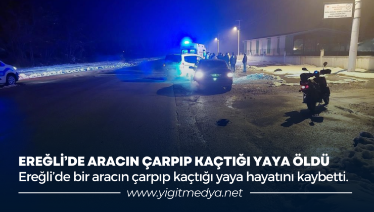 EREĞLİ’DE ARACIN ÇARPIP KAÇTIĞI YAYA ÖLDÜ