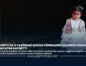 KONYA’DA 2 YAŞINDAKİ ÇOCUK KÖPEKLERİN SALDIRISI SONUCU HAYATINI KAYBETTİ