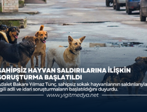 SAHİPSİZ HAYVAN SALDIRILARINA İLİŞKİN SORUŞTURMA BAŞLATILDI