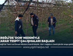 EREĞLİ’DE ‘DON’ NEDENİYLE ZARAR TESPİT ÇALIŞMALARI BAŞLADI