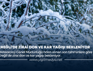 EREĞLİ’DE ZİRAİ DON VE KAR YAĞIŞI BEKLENİYOR
