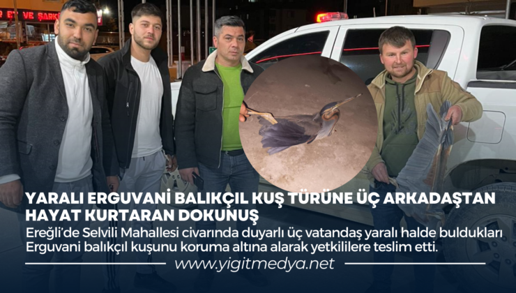 YARALI ERGUVANİ BALIKÇIL KUŞ TÜRÜNE ÜÇ ARKADAŞTAN HAYAT KURTARAN DOKUNUŞ