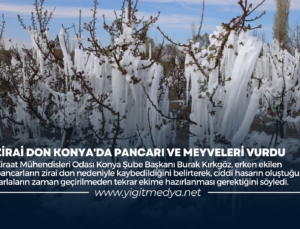 ZİRAİ DON KONYA’DA PANCARI VE MEYVELERİ VURDU