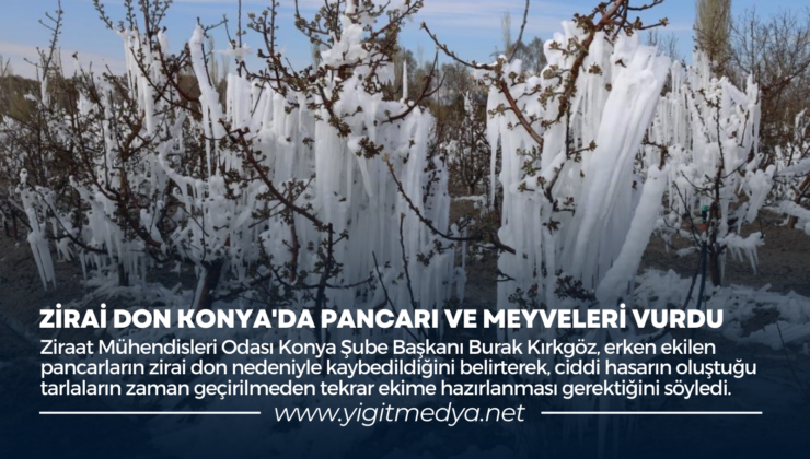 ZİRAİ DON KONYA’DA PANCARI VE MEYVELERİ VURDU