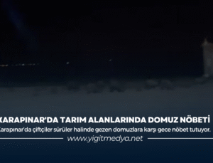 KARAPINAR’DA TARIM ALANLARINDA DOMUZ NÖBETİ