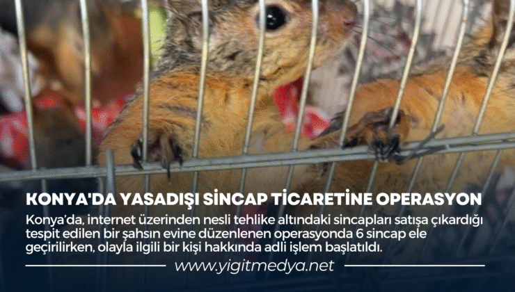 KONYA’DA YASADIŞI SİNCAP TİCARETİNE OPERASYON