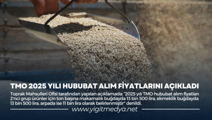 TMO 2025 YILI HUBUBAT ALIM FİYATLARINI AÇIKLADI