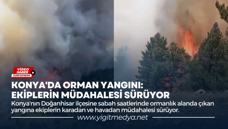 KONYA’DA ORMAN YANGINI: EKİPLERİN MÜDAHALESİ SÜRÜYOR