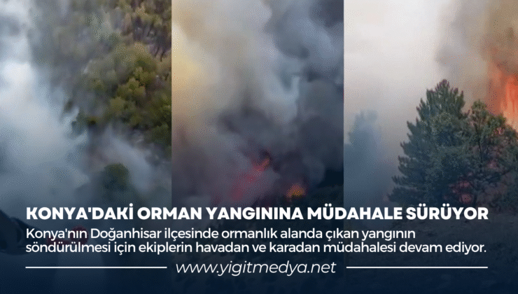KONYA’DAKİ ORMAN YANGININA MÜDAHALE SÜRÜYOR