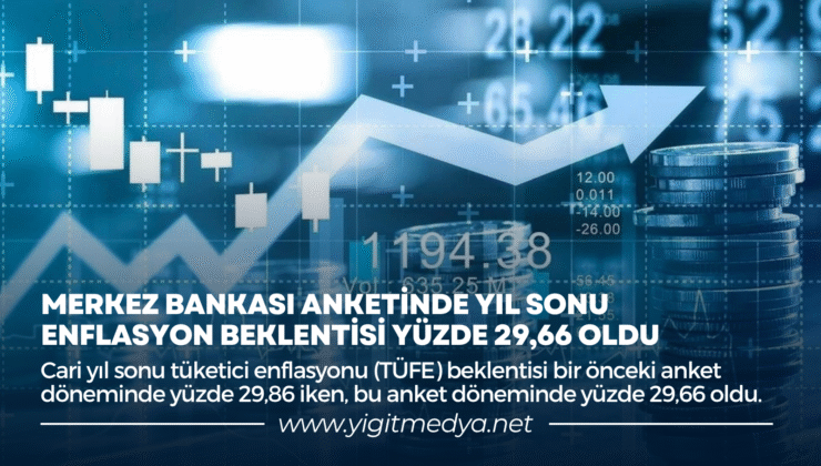 MERKEZ BANKASI ANKETİNDE YIL SONU ENFLASYON BEKLENTİSİ YÜZDE 29,66 OLDU
