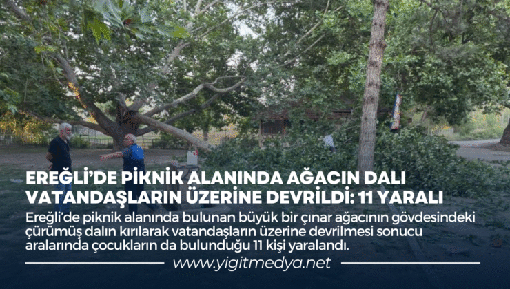 EREĞLİ’DE PİKNİK ALANINDA AĞACIN DALI VATANDAŞLARIN ÜZERİNE DEVRİLDİ: 11 YARALI