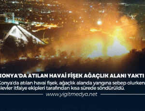 KONYA’DA ATILAN HAVAİ FİŞEK AĞAÇLIK ALANI YAKTI