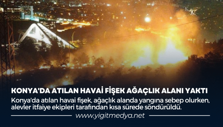 KONYA’DA ATILAN HAVAİ FİŞEK AĞAÇLIK ALANI YAKTI