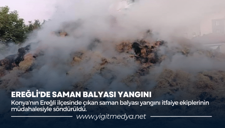 EREĞLİ’DE SAMAN BALYASI YANGINI