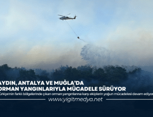 AYDIN, ANTALYA VE MUĞLA’DA ORMAN YANGINLARIYLA MÜCADELE SÜRÜYOR