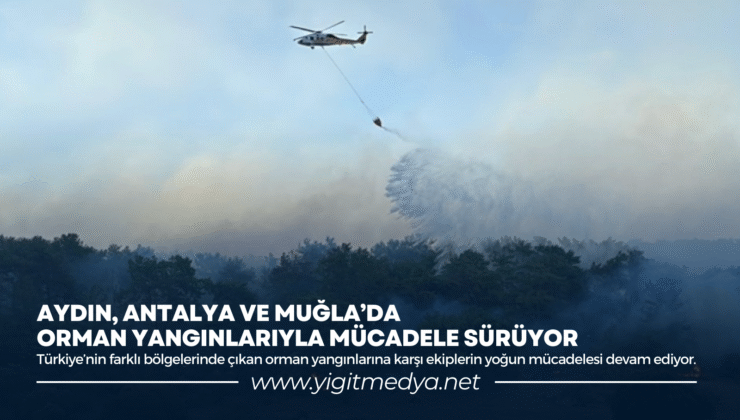 AYDIN, ANTALYA VE MUĞLA’DA ORMAN YANGINLARIYLA MÜCADELE SÜRÜYOR