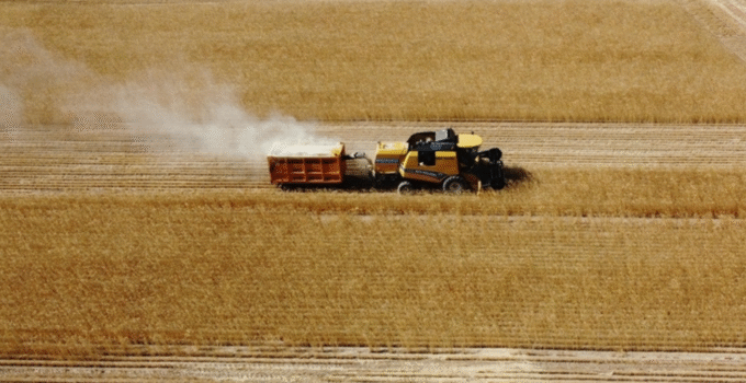 TÜRKİYE’NİN TARIMSAL LİDERİ YİNE KONYA OLDU
