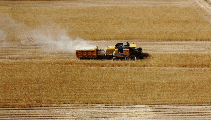 TÜRKİYE’NİN TARIMSAL LİDERİ YİNE KONYA OLDU