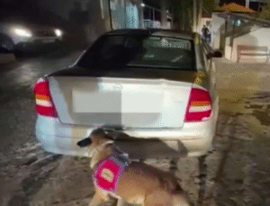 EREĞLİ’DE UYUŞTURUCU TACİRLERİNE GEÇİT YOK! 3 KİŞİ TUTUKLANDI