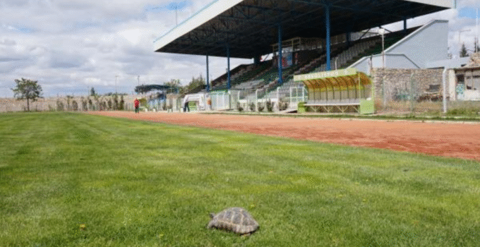 EREĞLİ ATATÜRK STADYUMU YENİLENİYOR: MODERNİZASYON İŞİ İHALEYE ÇIKTI