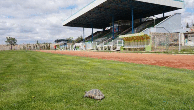 EREĞLİ ATATÜRK STADYUMU YENİLENİYOR: MODERNİZASYON İŞİ İHALEYE ÇIKTI