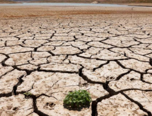 KONYA’DA SU KRİZİ GÜNDEMDE: KURAKLIK VE AZALAN KAYNAKLAR DEĞERLENDİRİLDİ