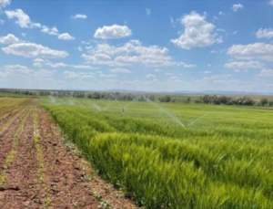 EREĞLİ’DE AKILLI SULAMA MERKEZİ KURULACAK