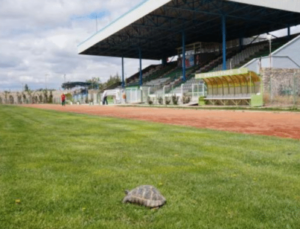 EREĞLİ ATATÜRK STADYUMU GEÇİCİ OLARAK FAALİYETLERE KAPATILDI