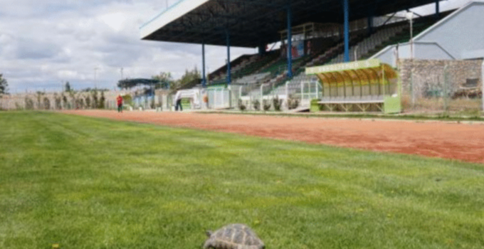 EREĞLİ ATATÜRK STADYUMU GEÇİCİ OLARAK FAALİYETLERE KAPATILDI
