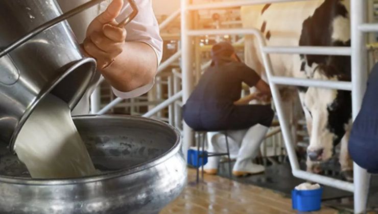 ÇİĞ SÜT FİYATI AÇIKLANDI