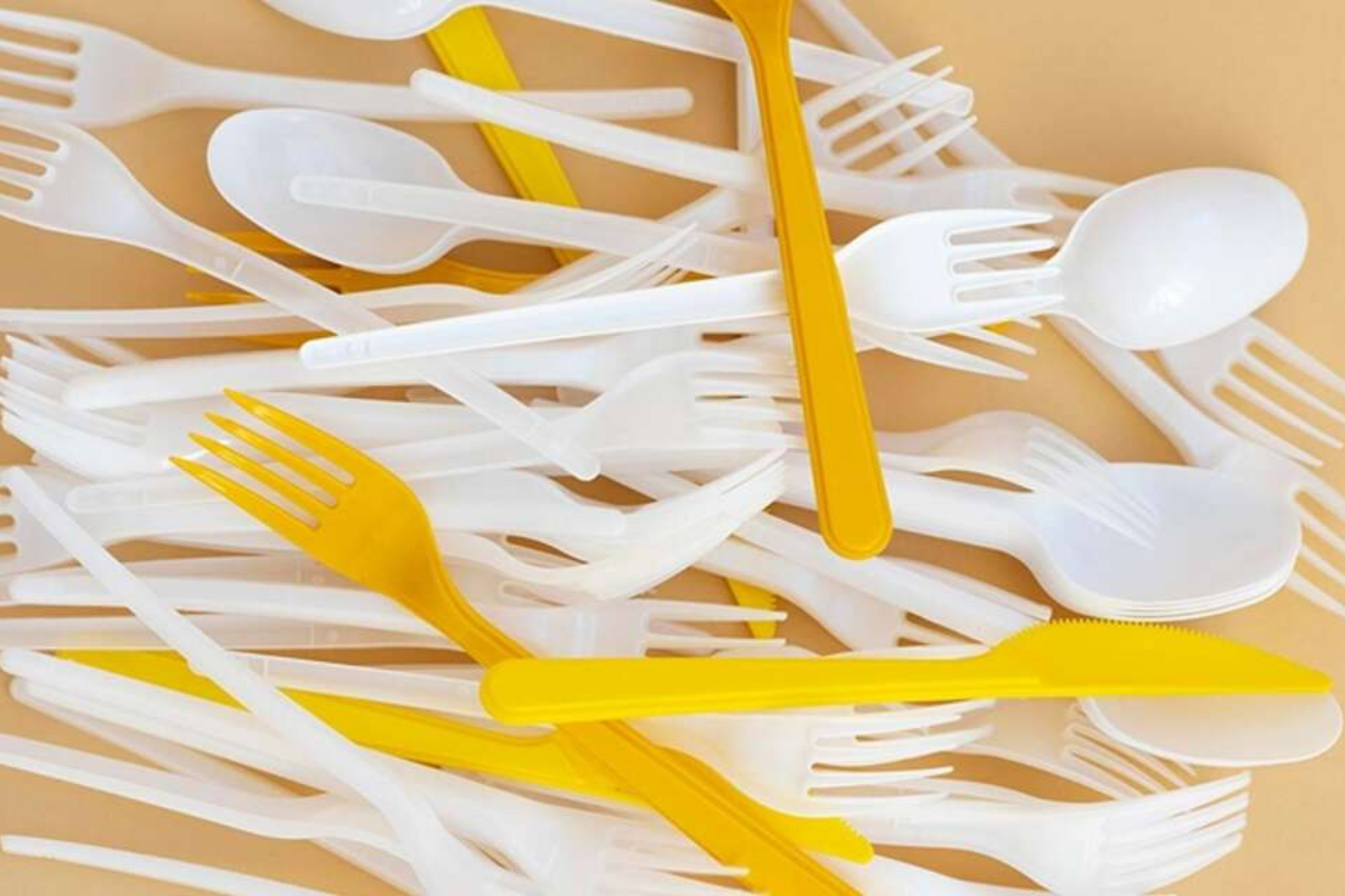 TEK KULLANIMLIK PLASTİKLERE YASAK GELİYOR