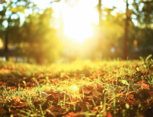 EREĞLİ’DE BAHAR HAVASI: SICAKLIKLAR YÜKSELİYOR, CUMA GÜNÜNE DİKKAT!