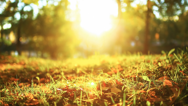 EREĞLİ’DE BAHAR HAVASI: SICAKLIKLAR YÜKSELİYOR, CUMA GÜNÜNE DİKKAT!