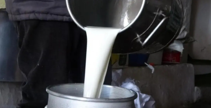 ÇİĞ SÜT TAVSİYE FİYATI 24,30 TL OLARAK BELİRLENDİ