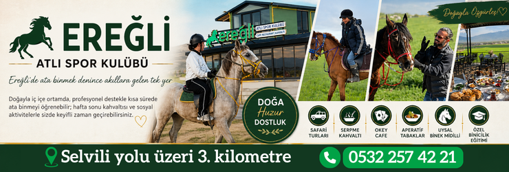 ad826x90