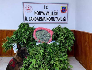 EREĞLİ’DE JANDARMA OPERASYONU: DEPODAN UYUŞTURUCU VE SİLAH ÇIKTI